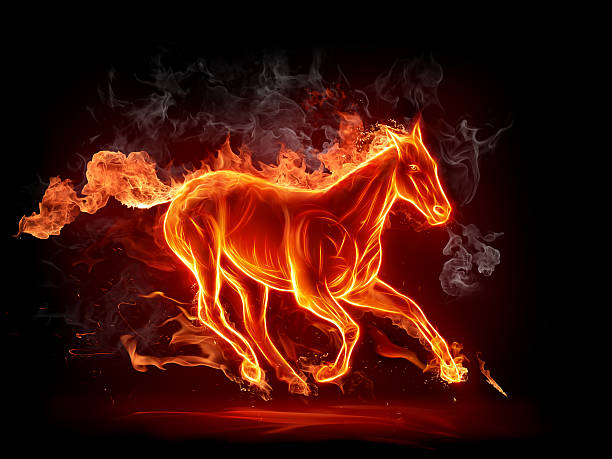 Fiery stallion stock photo