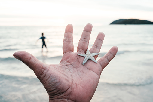 A closeup shot of a hand holding a starfish on a blurry sea background