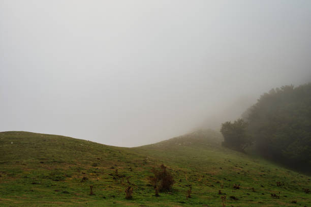 istock rural landscape on Mount Volturino, Val d'Agri, Basilicata 1467252402