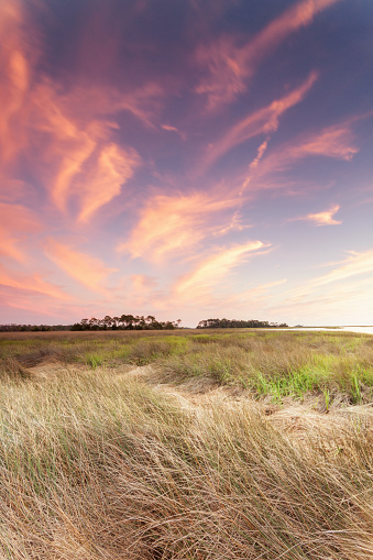 A beautiful view of the grassy field gleaming under the pink cloudy sky