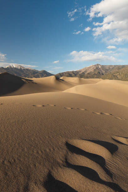 istock Colorado Great Sand dunes at a bright sunset evening 1467255548