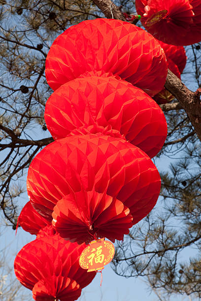 Chinese paper lantern stock photo