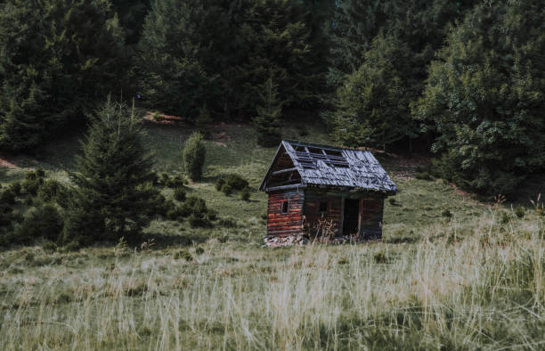 istock Old abandoned building near a forest 1467258260