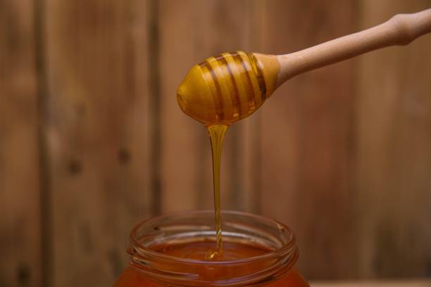istock Closeup of a honey dipper 1467258281