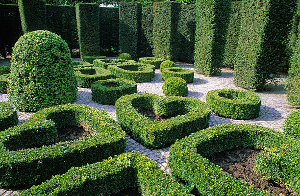 ornamental garden the secret garden of the heart, a beautiful landscaped garden in Bruxelles topiary stock pictures, royalty-free photos & images