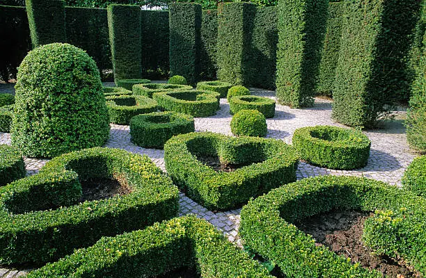 the secret garden of the heart, a beautiful landscaped garden in Bruxelles