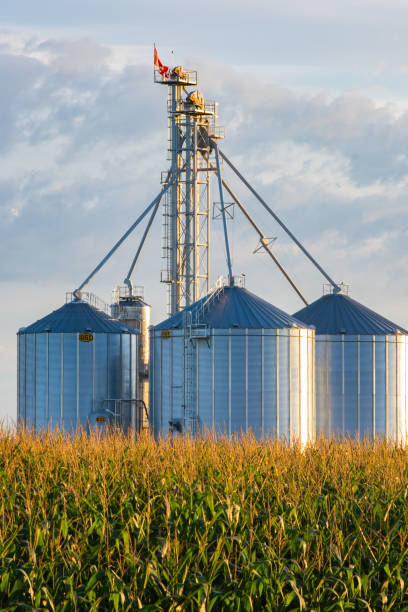 istock Vertical shot of grain storage in the field 1467259132