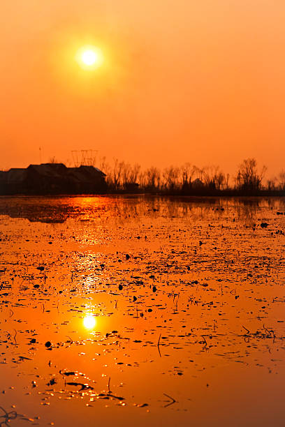 Orange sun over serene lake, vertical composition stock photo