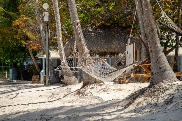 istock Empty hammock on beach in Punta Cana Dominican Republic 1467260036