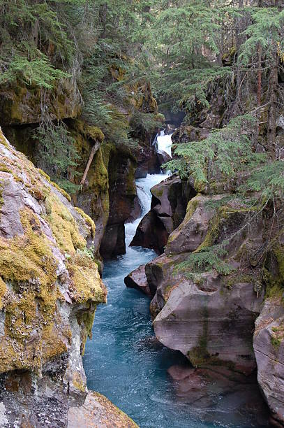 Passage à gué chutes d'eau - Photo