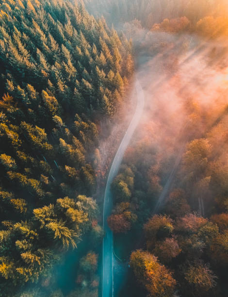 istock Aerial view of a road through a forest in Germany 1467260960