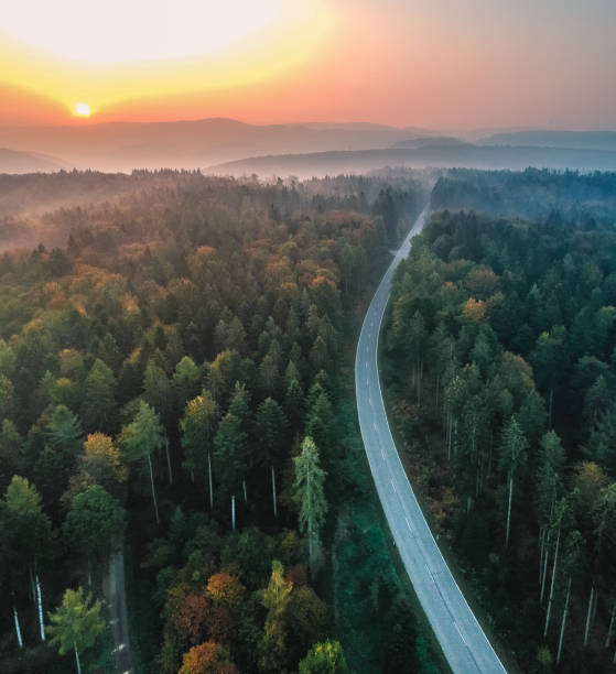 istock Aerial view of a road through a forest in Germany 1467260961