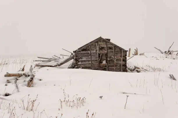 Historical fallen cabin and trading post along the Bering Sea near Nome, Alaska