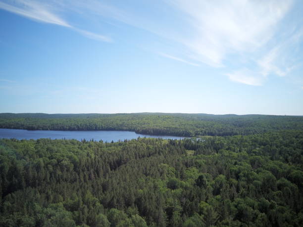 istock Aerial view of forest surrounded by dense trees 1467266240