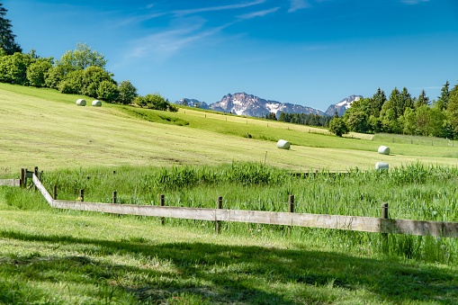 A beautiful view of a mountain green grassland under a clear blue sky