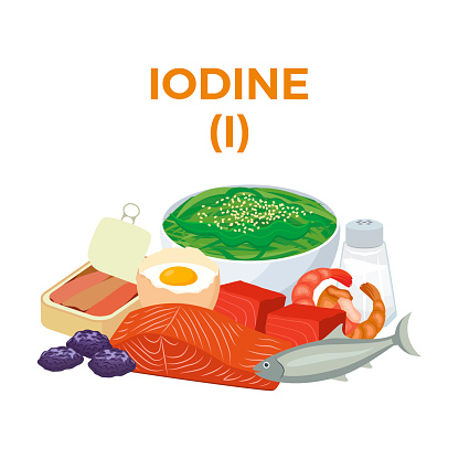 Iodine food sources vector illustration isolated on a white background. Seaweed, seafood, fish, shrimp, prune vector. Pile of healthy fresh food drawing