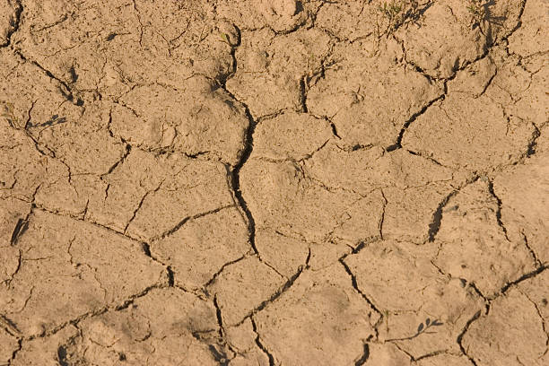 Parched Earth 3 stock photo