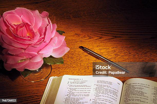 Bible Pen And Rose Stock Photo - Download Image Now - Bible, Pink Color, Rose - Flower