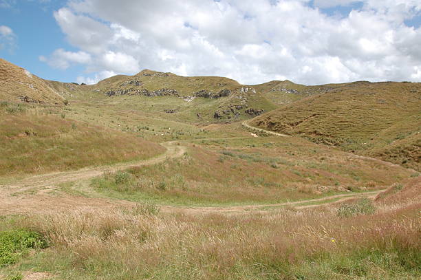 Winding road stock photo