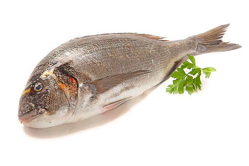 A cooked bass fish isolated on a white background