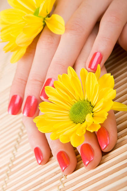 istock care for beautiful woman hands 146727350