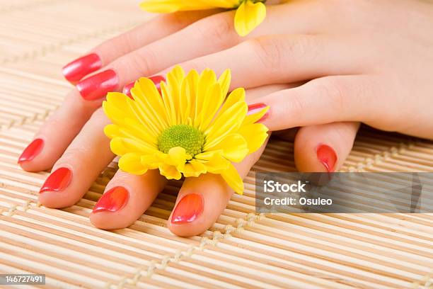 Cuidados De Mulher Bonita As Mãos - Fotografias de stock e mais imagens de Amarelo - Amarelo, Flor, Unha