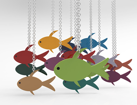 Hanging fish on chain