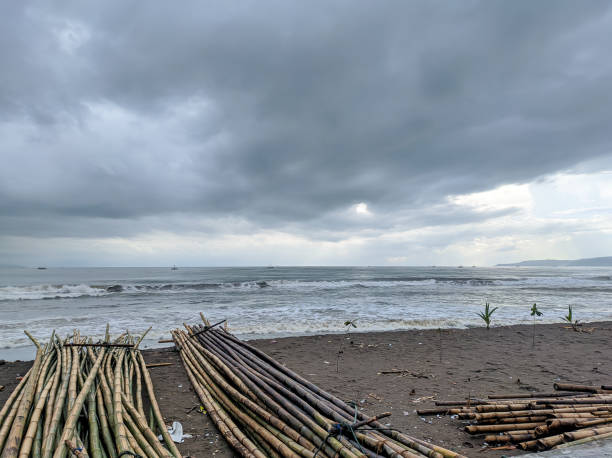istock Pile of Bamboo Sticks On Beach Against Cloudy Sky 1467275708