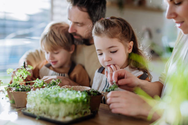 istock Happy family planting herbs together at spring. 1467277251