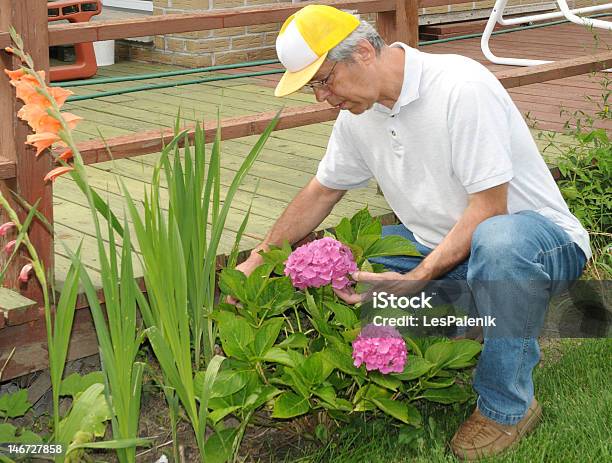 Paisajista Con Flores Foto de stock y más banco de imágenes de Adulto - Adulto, Adulto maduro, Aire libre