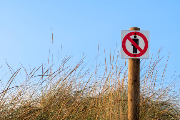istock Road sign by grass against clear sky 1467279230