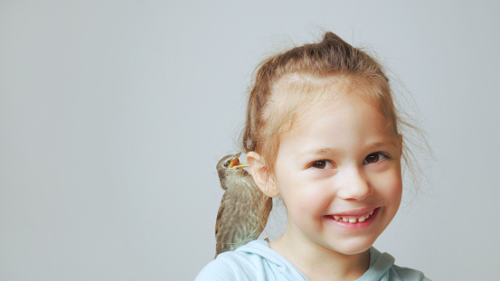Grown up starling nestling sit on shoulder of little girl and sing with open beak. Portrait of happy child on gray. Kid play with baby bird. Bird care, protection, love animals. Spring songbird.