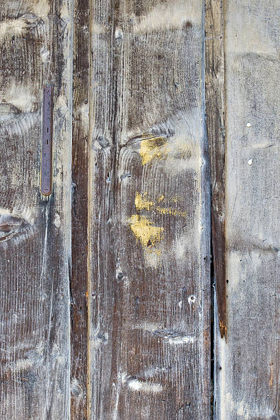 istock Wooden Wall with Spotlight 146728001