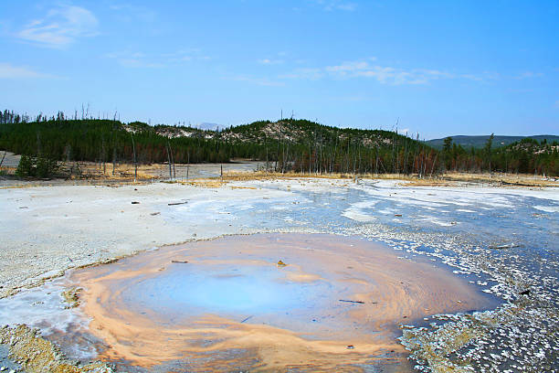 Paint Pot at Yellowstone National Park stock photo