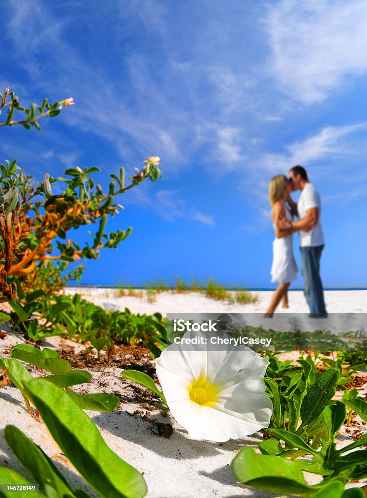 Romantische Momente am Strand - Lizenzfrei Begehren Stock-Foto