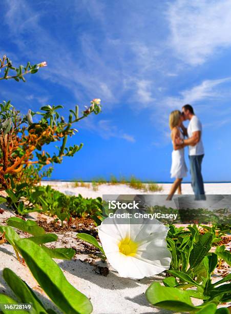 Romantische Momente Am Strand Stockfoto und mehr Bilder von Begehren - Begehren, Blau, Blume