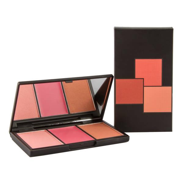 istock Eyeshadow palette with dry blush in a black box 1467282210