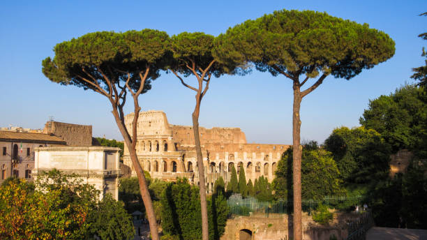 istock Colosseum Rome from a high angle with trees 1467282292