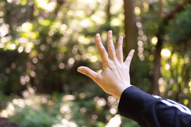 the palm of your hand