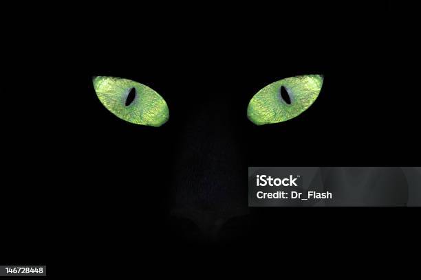 Cat Eyes In The Dark Stock Photo - Download Image Now - Number 13, Friday, Glowing