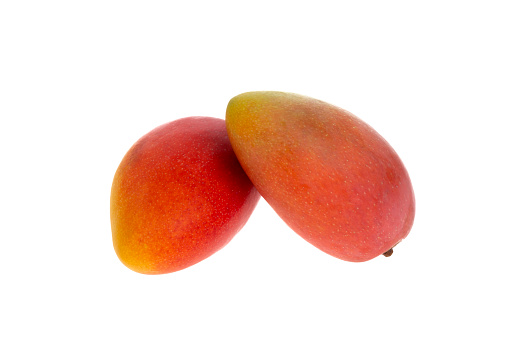 Mangos on white background