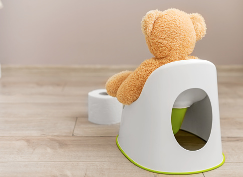 Soft toy on the potty. Toilet training a child.