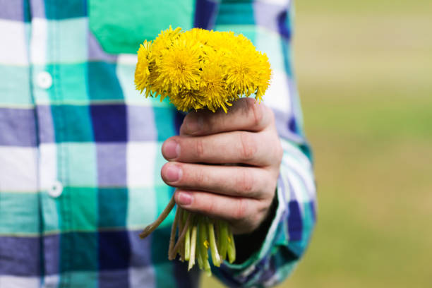 A serene close-up image showcases hands gently pressed together in a prayer position, delicately holding a small bouquet of yellow flowers. The background features a traditional white lace dress with intricate detailing and a touch of blue fabric, adding cultural and spiritual significance. The vibrant yellow flowers symbolize positivity, devotion, and gratitude, making this image ideal for themes of meditation, mindfulness, religious rituals, and peaceful spiritual practices.
