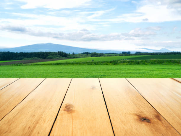 istock Empty light wood table surface with green nature agriculture farm blur background 1467289160