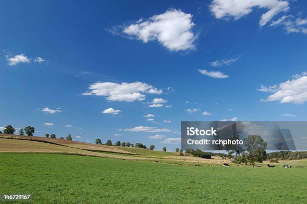Grünen Feld Von Bäumen Und Blauen Himmel Stockfoto und mehr Bilder von Abgeschiedenheit - Abgeschiedenheit, Agrarbetrieb, Anhöhe