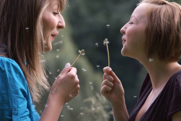 istock two young girls blowing dandelions (flowers) 146729936