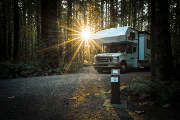 Sunrise at a campground in Canada