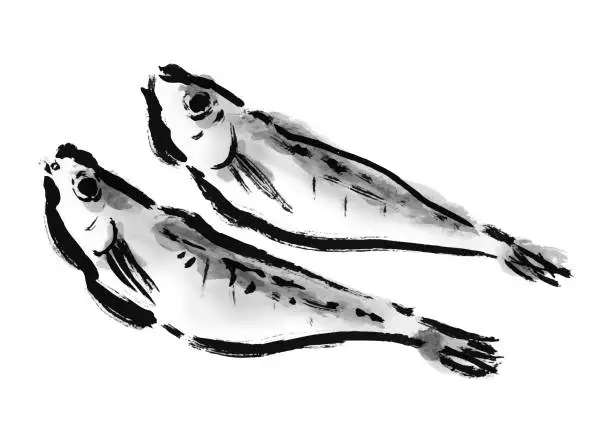 Vector illustration of Hata Hata's Dried Fish Illustration Dried Fish