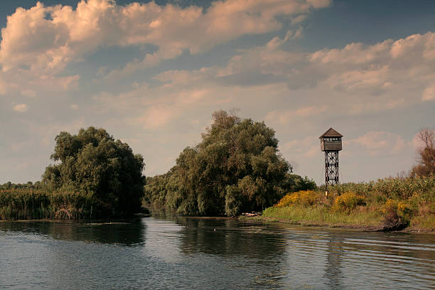 Danube Delta landscape stock photo