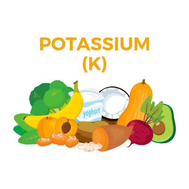 ilustrações de stock, clip art, desenhos animados e ícones de potassium (k) in food icon vector - white background freshness spinach vegetable
